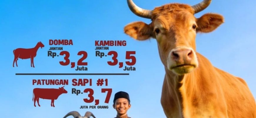 qurban_bareng_santri_tahfidz